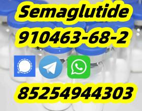 Semaglutide 910463-68-2;Tirzepatide 2023788-19-2; Retatrutide 2381089-83-2;