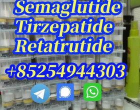 Retatrutide 2381089-83-2;Semaglutide 910463-68-2;Tirzepatide 2023788-19-2;