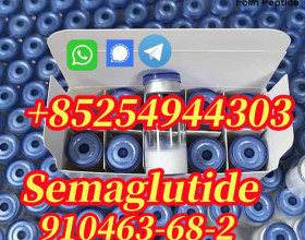 Semaglutide 910463-68-2