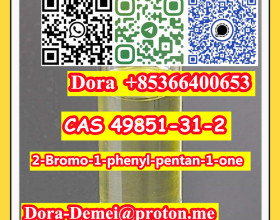 2-Bromo-1-phenyl-pentan-1-one  CAS 49851-31-2