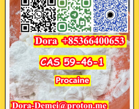 Procaine，CAS 59-46-1