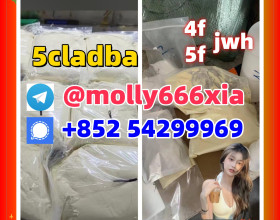 5CLADBA SGT151 SGT78 6CLADBA 4CLADBA 2CLADBA Sell 5cl 5cladbb 5fadb 4fadb China Supplier